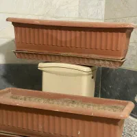 گلدان