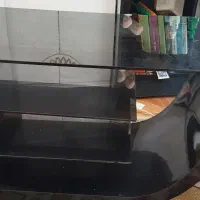 یخچال و میز تی‌وی|یخچال و فریزر|تهران, امام زاده عبدالله|دیوار