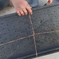 سینی نشا(کاشت هیدروپونیک)