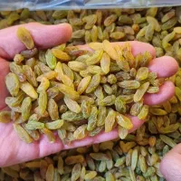 کشمش و گله و ابغوره و خیارشور با تنوع و قیمت مناسب