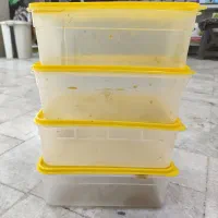 ظرف پلاستیکی ۲ کیلویی