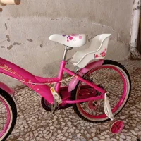 دوچرخه ۲۰دخترانه|دوچرخه، اسکیت، اسکوتر|رشت, معلولین|دیوار