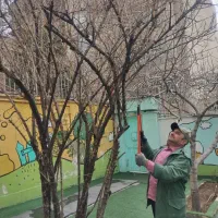 باغبانی کاشت گل و گیاه هرس