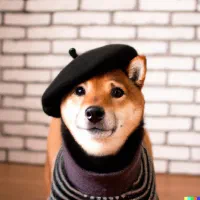 هوش مصنوعی آفلاین (مناسب گوشی+کامپیوتر و لپتاپ)