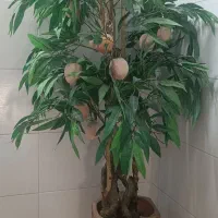 چند دست گل مصنوعی|گل مصنوعی|ابریشم, |دیوار