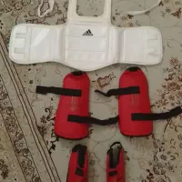 هوگو کاراته