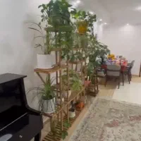 پیروزی-فرد-محدوده-میدان-حافظ233عرض8با5سقف