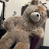 عروسک خرس تدی ۲ متر