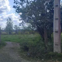 7000 متر زمین زراعی / شالیزار / مزروعی / زیبا کنار