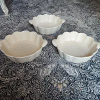 دیس جا مرغ و پیتزا