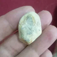سنگی که چهره بر روی آن نقش بسته