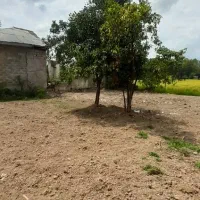 1000متر-زمین-قابل-تبدیل-به-3پلاک-خشکبیجار-پارسه