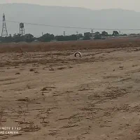 فروش زمین باغ سرمایه گذاری مادرسندتک برگ