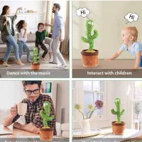 کاکتوس سخنگو|اسباب‌‌بازی|اندیمشک, |دیوار