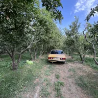 بنز کلاسیک ۲۳۰ دانشجویی|خودرو کلاسیک|کرج, حصارک بالا|دیوار