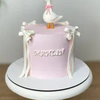 ماکت کیک