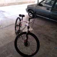ویوا
