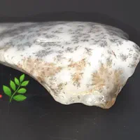 سنگ شجر کلکسیونی بینظیر بسیار زیبا