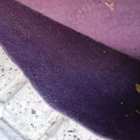 چندعددموکت فروشی..