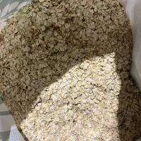 جودو سر پرک فوری(روسی)