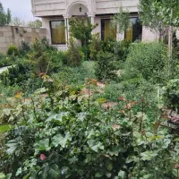 کرج-کردان-سهیلیه-اجاره-ویلا-سالیانه-استخرداخل