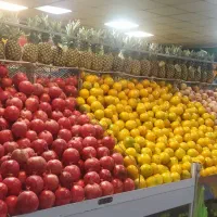 نیازمند نیروی ماهر جهت کار در تره بار تهران|استخدام خدمات فروشگاه و رستوران|قروه, |دیوار