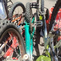 تعدادی دوچرخه فروشی