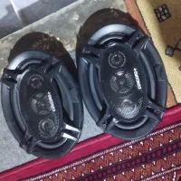 ضبط و باند کونگورد