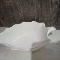 ظروف پذیرایی
