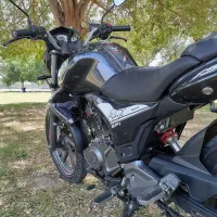 بنلی خشک خونگی