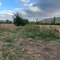 زمین کشاورزی کلوانس|فروش زمین و ملک کلنگی|صفائیه, |دیوار