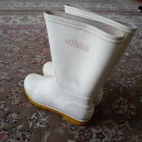 چکمه درحدنو|کیف، کفش، کمربند|جهرم, |دیوار