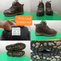 انواع کفش اصلی|کیف، کفش، کمربند|سنندج, |دیوار