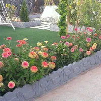 مشاوره حضوری فضای سبز منازل