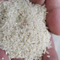 برنج نیم دانه درجه یک هاشمی شمال
