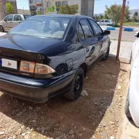 سمند معمولی