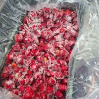 انبه شاهتوت توت فرنگی البالو زغال اخته|خوردنی و آشامیدنی|تهران, شهید رجایی|دیوار