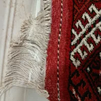 فرش|فرش|گنبد کاووس, |دیوار