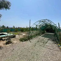 ۵۲۸ متر باغ با استخر و کلبه گلی