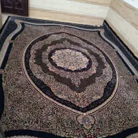 قالی
