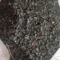 تخمه آجیلی وروغنی
