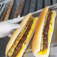 ساندویچ کباب هانی(بازرگانی)