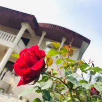 اجاره ویلا ۲ خوابه بدون واسطه در چالوس