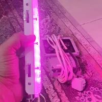 دو عدد لامپ رشد گیاه|لامپ و چراغ|فولادشهر, C4|دیوار