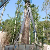 بریدن انواع درخت خشک خطرناک|خدمات باغبانی و درختکاری|تهران, دزاشیب|دیوار