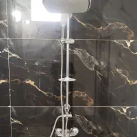 شیر و علم دوش حمام