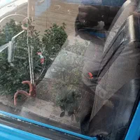 نیسان وانت|خودرو سواری و وانت|کرج, فاز ۴ مهرشهر|دیوار