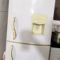 یخچال فریزر الکترو استیل