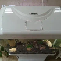 آکواریوم شرکتی مدل دلسا|ماهی|مشکیندشت, |دیوار