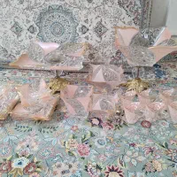 ظروف پذیرایی